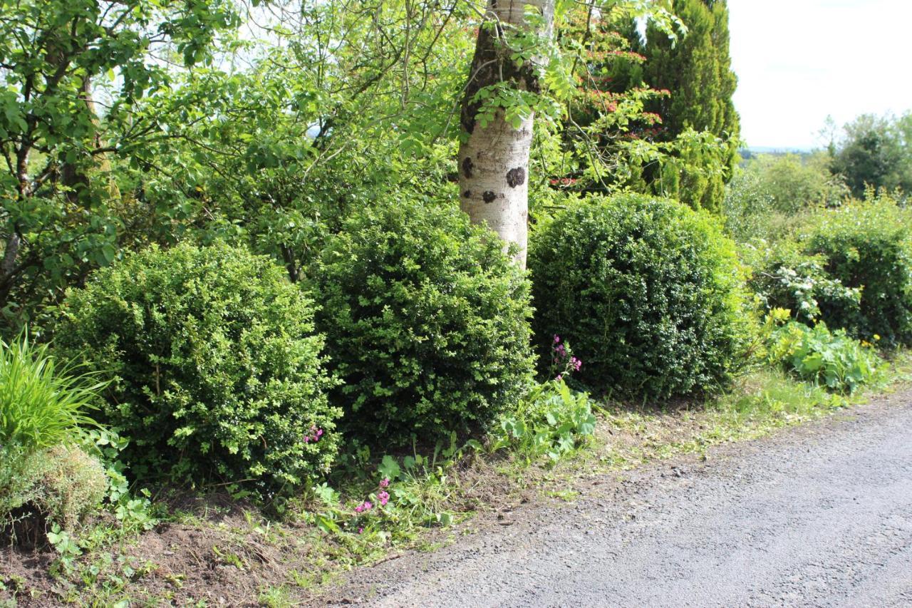 Rosslea Ketty'S Cottage מראה חיצוני תמונה